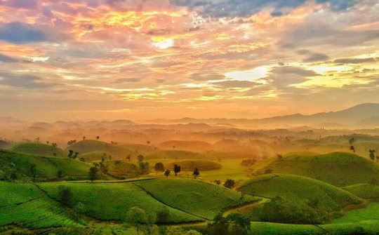 Đồi chè Long Cốc – chốn đậm chất mộng mơ miền đất Tổ