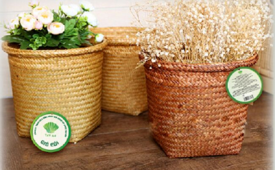 Thái Bình có 17 sản phẩm OCOP đạt hạng 4 sao