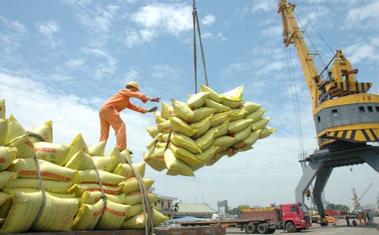 Giải mã đà tăng của giá gạo xuất khẩu