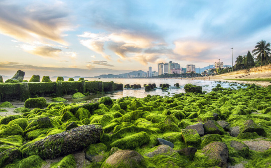 10 điểm hút khách của Nha Trang