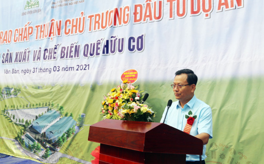 Lào Cai: Khởi công Dự án Nhà máy sản xuất và chế biến quế hữu cơ