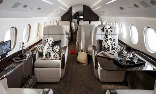 Cuộc sống của “giới siêu giàu” trong đại dịch khác người ra sao?