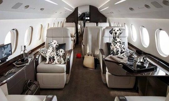 Cuộc sống của “giới siêu giàu” trong đại dịch khác người ra sao?