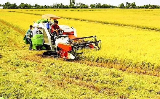 Nông nghiệp Việt Nam thắng lớn, mục tiêu đứng trong số 15 nước phát triển nhất thế giới