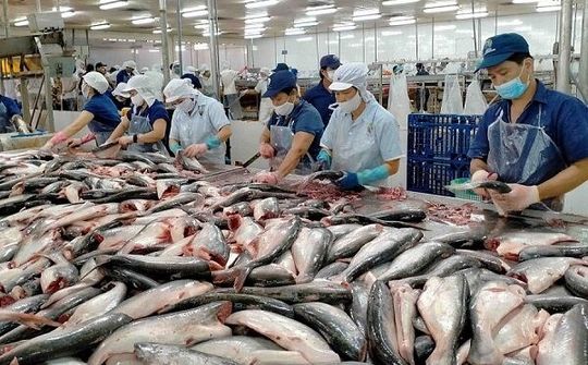 Xuất khẩu thủy sản Việt Nam có những tín hiệu đáng mừng đầu năm 2021