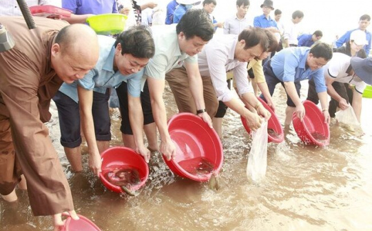 Huyện Giao Thủy (Nam Định) hưởng ứng Tháng bảo vệ nguồn lợi thủy sản