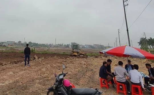 “Thuốc” hạ sốt đất ảo!