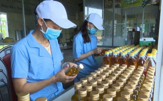 Quảng Trị: Phát triển sản phẩm OCOP chinh phục người tiêu dùng