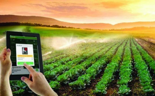 Hướng đi mới cho doanh nghiệp gia đình Việt Nam