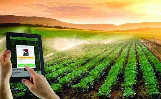 Hướng đi mới cho doanh nghiệp gia đình Việt Nam