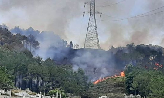 Hà Nội quy định về thời gian và các vùng trọng điểm dễ cháy rừng