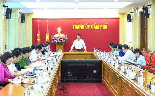 TP Cẩm Phả: Tích cực chuẩn bị cho cuộc bầu cử