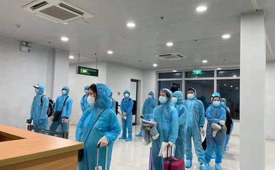 Nghệ An tiếp nhận 222 công dân Việt Nam từ Nhật Bản về nước
