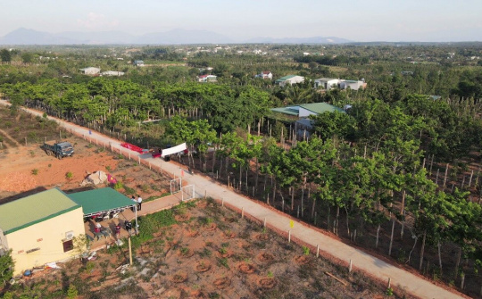 Đắk Lắk: Người dân chung tay phát triển, xây dựng đường giao thông nông thôn