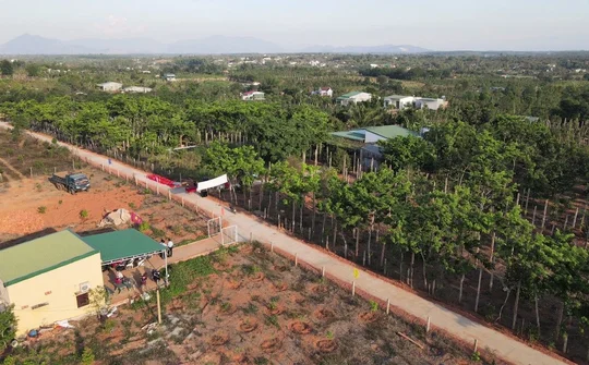 Đắk Lắk: Người dân chung tay phát triển, xây dựng đường giao thông nông thôn