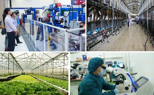 Hòa Bình: Ứng dụng khoa học công nghệ trong sản xuất kinh doanh