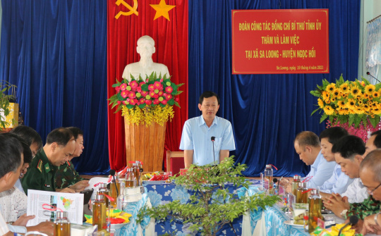 Sa Loong (Ngọc Hồi): Hướng đến đạt chuẩn nông thôn mới, nâng cao và kiểu mẫu