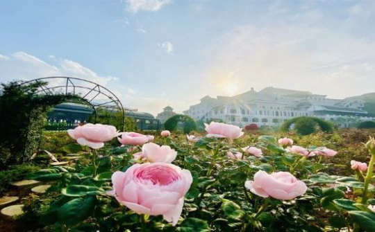 Hè rực rỡ với hàng loạt lễ hội, show nghệ thuật đình đám tại điểm đến Sun Group khắp 3 miền