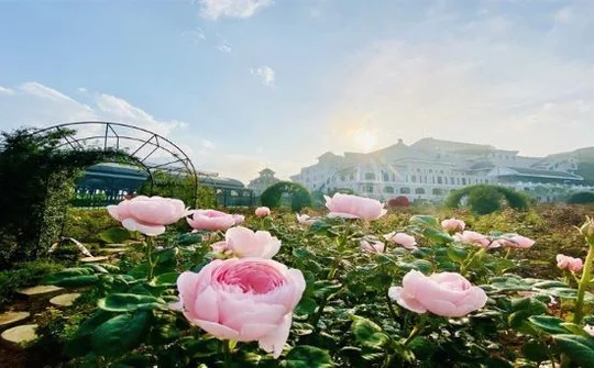 Hè rực rỡ với hàng loạt lễ hội, show nghệ thuật đình đám tại điểm đến Sun Group khắp 3 miền