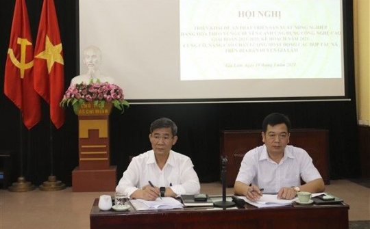 Gia Lâm (Hà Nội): Phát triển sản xuất nông nghiệp hàng hóa theo vùng nông nghiệp chuyên canh