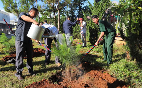 Lâm Đồng: TP. Bảo Lộc phát động trồng 2,4 triệu cây xanh