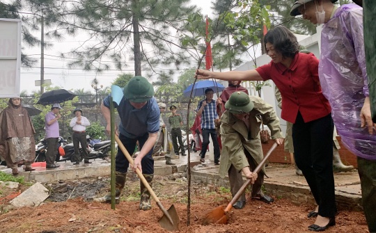 Bắc Kạn hưởng ứng Chương trình trồng một tỷ cây xanh