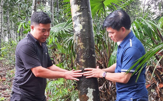 TP Uông Bí (Quảng Ninh): Đẩy mạnh tái cơ cấu ngành nông nghiệp