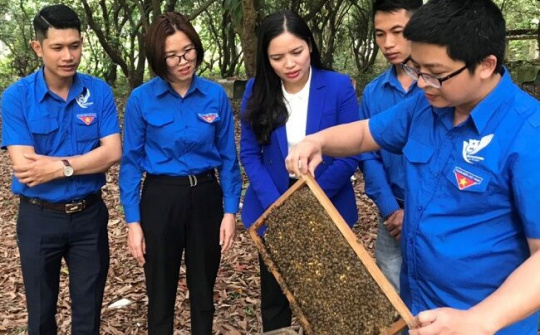 Thanh niên Kiến Xương (Thái Bình) thi đua phát triển kinh tế