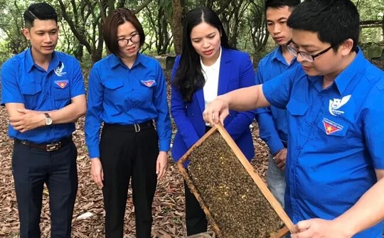 Thanh niên Kiến Xương (Thái Bình) thi đua phát triển kinh tế