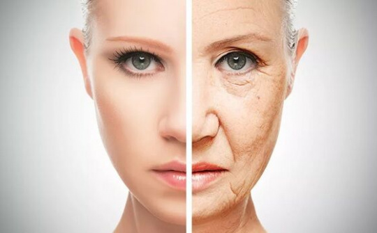 Phát hiện cơ chế chống lão hóa trong não người