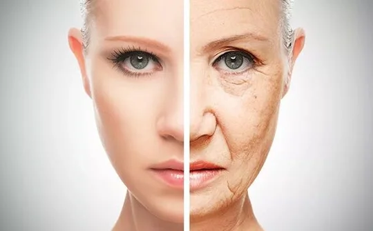 Phát hiện cơ chế chống lão hóa trong não người