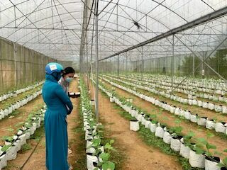 Bá Thước: Phát triển Nông nghiệp công nghệ cao gắn với xây dựng nông thôn mới