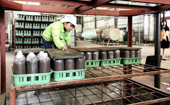 Huyện Đại Từ, Thái Nguyên: Khai thác tiềm năng, thế mạnh nông nghiệp