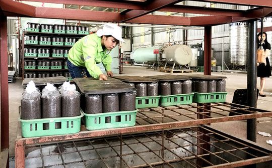 Huyện Đại Từ, Thái Nguyên: Khai thác tiềm năng, thế mạnh nông nghiệp