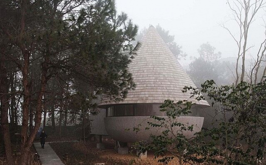 Nhà nấm giữa rừng thông thay đổi màu sắc theo độ ẩm tự nhiên