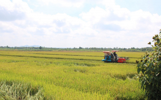 Quý I/2021, tỉnh Đắk Lắk đã triển khai, hoàn thành nhiều nhiệm vụ quan trọng