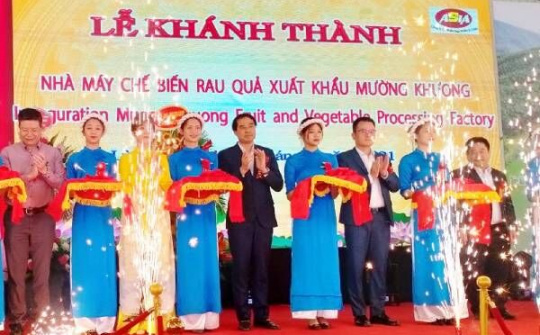 Lào Cai: Khánh thành Nhà máy Chế biến rau quả xuất khẩu Mường Khương