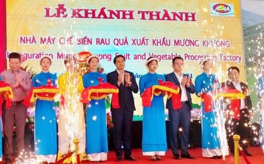 Lào Cai: Khánh thành Nhà máy Chế biến rau quả xuất khẩu Mường Khương