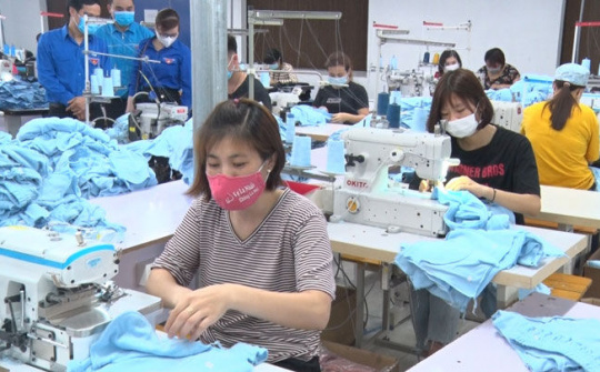 Thái Nguyên: Tạo động lực để phụ nữ phát triển kinh tế