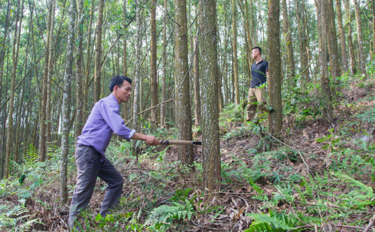 Thái Nguyên: Phát triển kinh tế ở xóm vùng cao Ba Nhất (Võ Nhai)