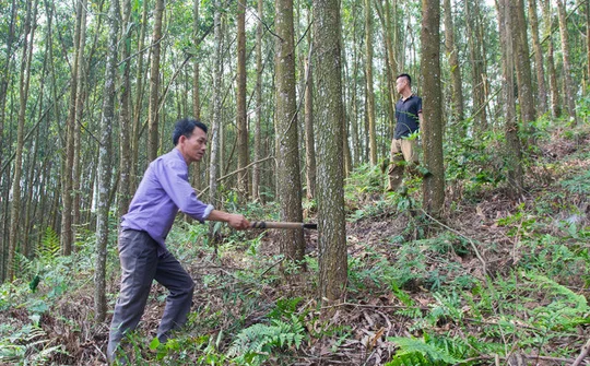 Thái Nguyên: Phát triển kinh tế ở xóm vùng cao Ba Nhất (Võ Nhai)