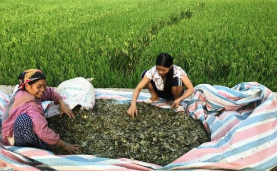 Cao Bằng: Khó khăn trong bảo tồn và phát triển làng nghề truyền thống