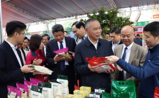 Hà Nội tập trung phát triển ngành nông nghiệp theo chuỗi giai đoạn 2021 - 2025