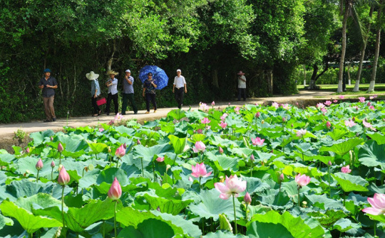 Tháng 5 về trên quê hương Bác