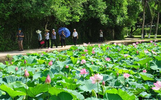 Tháng 5 về trên quê hương Bác