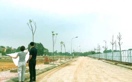 Thanh Hóa: Tiếp tục tăng cường chấn chỉnh công tác quản lý nhà nước về giá đất