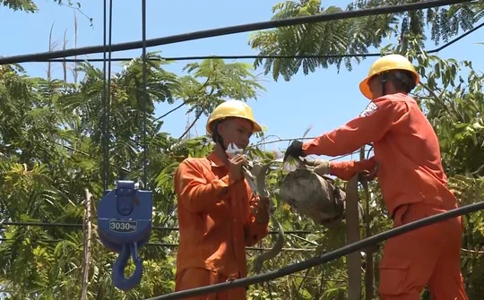Kon Tum: Mưa kèm lốc làm tốc mái nhà dân, mất điện trên diện rộng