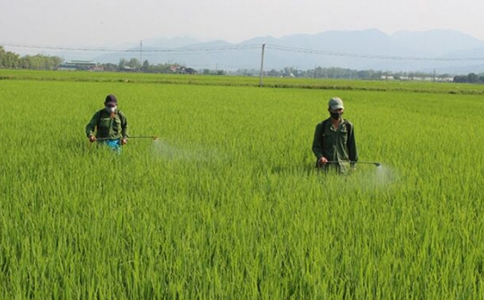 Quảng Ninh: Chủ động phòng chống dịch bệnh cho cây trồng, vật nuôi