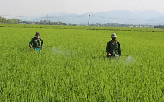 Quảng Ninh: Chủ động phòng chống dịch bệnh cho cây trồng, vật nuôi