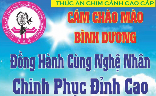Cám chào mào Thanh Trúc: Đồng hành cùng nghệ nhân chinh phục đỉnh cao
